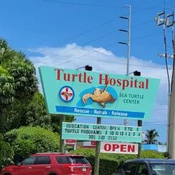 The Turtle Hospital - Marathon