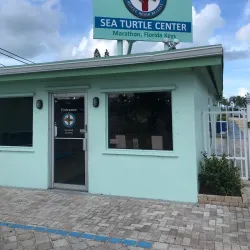 The Turtle Hospital - Marathon