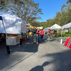 Margate Farmers Market - Margate
