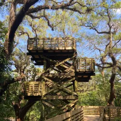 Tree Tops Park - Margate