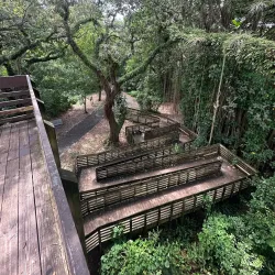 Tree Tops Park - Margate