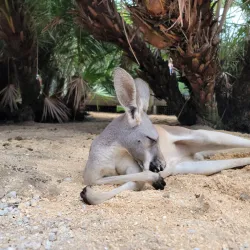 Brevard Zoo - Melbourne