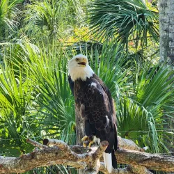 Brevard Zoo - Melbourne