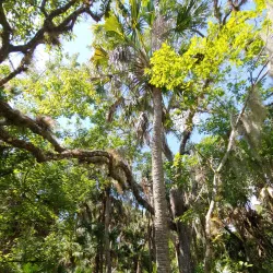 Erna Nixon Park - Melbourne