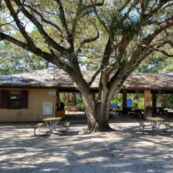 Erna Nixon Park - Melbourne