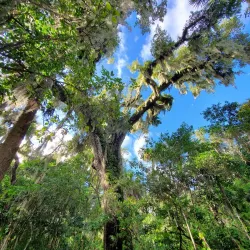 Erna Nixon Park - Melbourne