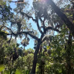 Erna Nixon Park - Melbourne