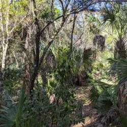 Erna Nixon Park - Melbourne