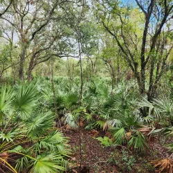 Erna Nixon Park - Melbourne