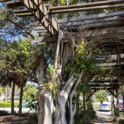 Foosaner Art Museum - Melbourne