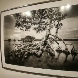 Foosaner Art Museum - Melbourne