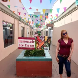 Historic Downtown Melbourne - Melbourne