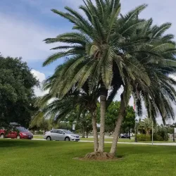 Melbourne Auditorium - Melbourne