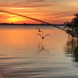 Riverside Park - Melbourne