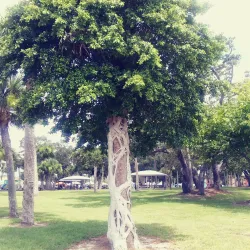 Riverside Park - Melbourne