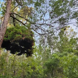 Turkey Creek Sanctuary - Melbourne