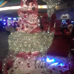 Calder Casino & Race Course - Miami Lakes