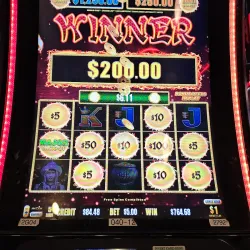 Calder Casino & Race Course - Miami Lakes