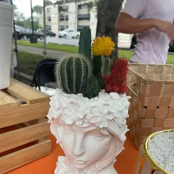 Miami Lakes Farmers Market - Miami Lakes