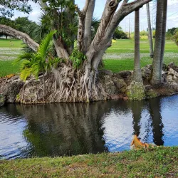 Miami Lakes Golf Club - Miami Lakes