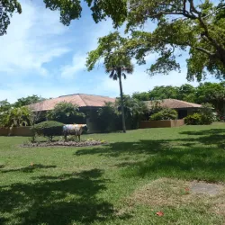 Miami Lakes Library - Miami Lakes