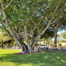 Miami Lakes Optimist Park - Miami Lakes