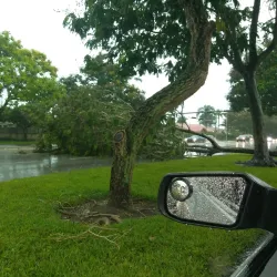 Miller Drive Park - Miami Lakes