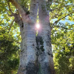 Fairchild Tropical Botanic Garden - Miami
