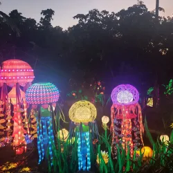 Jungle Island - Miami