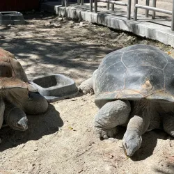 Jungle Island - Miami