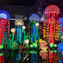 Jungle Island - Miami