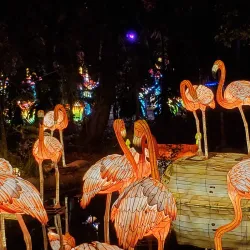 Jungle Island - Miami