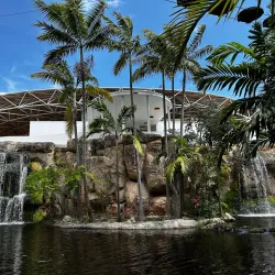 Jungle Island - Miami