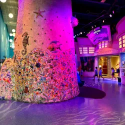 Miami Children's Museum - Miami