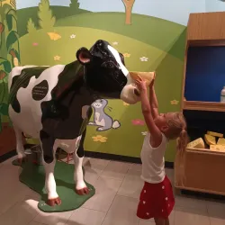 Miami Children's Museum - Miami