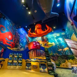 Miami Children's Museum - Miami