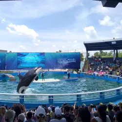 Miami Seaquarium - Miami