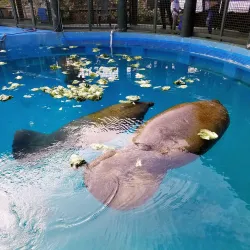 Miami Seaquarium - Miami