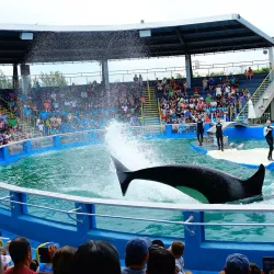 Miami Seaquarium - Miami