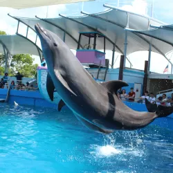 Miami Seaquarium - Miami