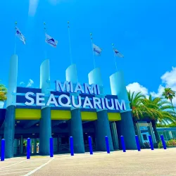 Miami Seaquarium - Miami
