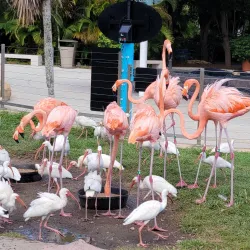 Miami Seaquarium - Miami