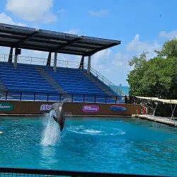 Miami Seaquarium - Miami