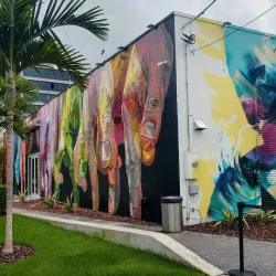 Wynwood Walls - Miami