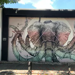 Wynwood Walls - Miami