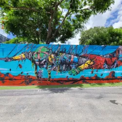 Wynwood Walls - Miami