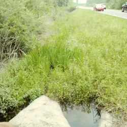 Blackwater Heritage State Trail - Milton