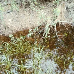 Blackwater Heritage State Trail - Milton