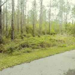 Blackwater Heritage State Trail - Milton