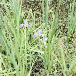 Blackwater Heritage State Trail - Milton